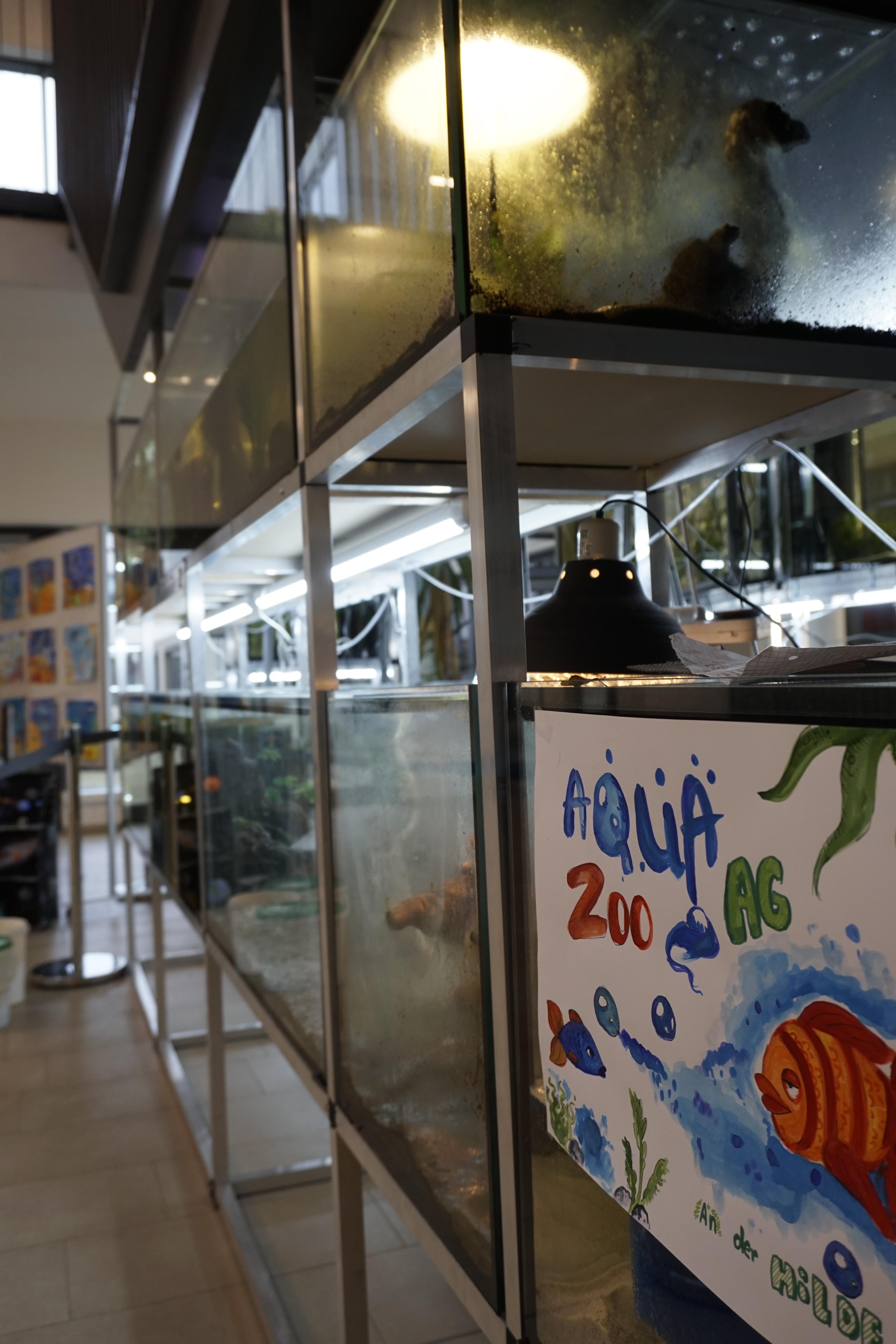 Bild eines Projektes